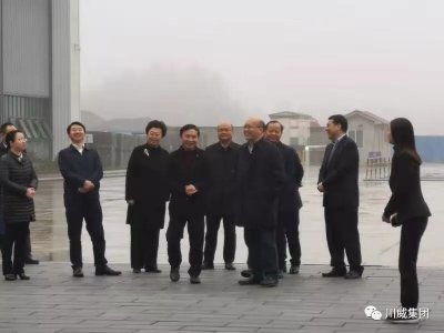 四川省省委常委、組織部長王正譜一行考察調(diào)研川威裝配建筑