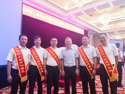 全國鋼鐵行業(yè)表彰先進  釩鈦科技喜獲三項殊榮(圖6)