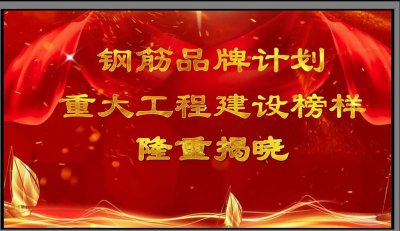 媒體廣泛關(guān)注集團(tuán)釩鈦科技入選“鋼筋品牌計劃——重大工程建設(shè)榜樣”