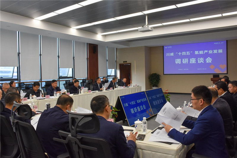 市政協(xié)主席康俊一行到川威召開“十四五”氫能產(chǎn)業(yè)發(fā)展調(diào)研座談會(huì)(圖1)