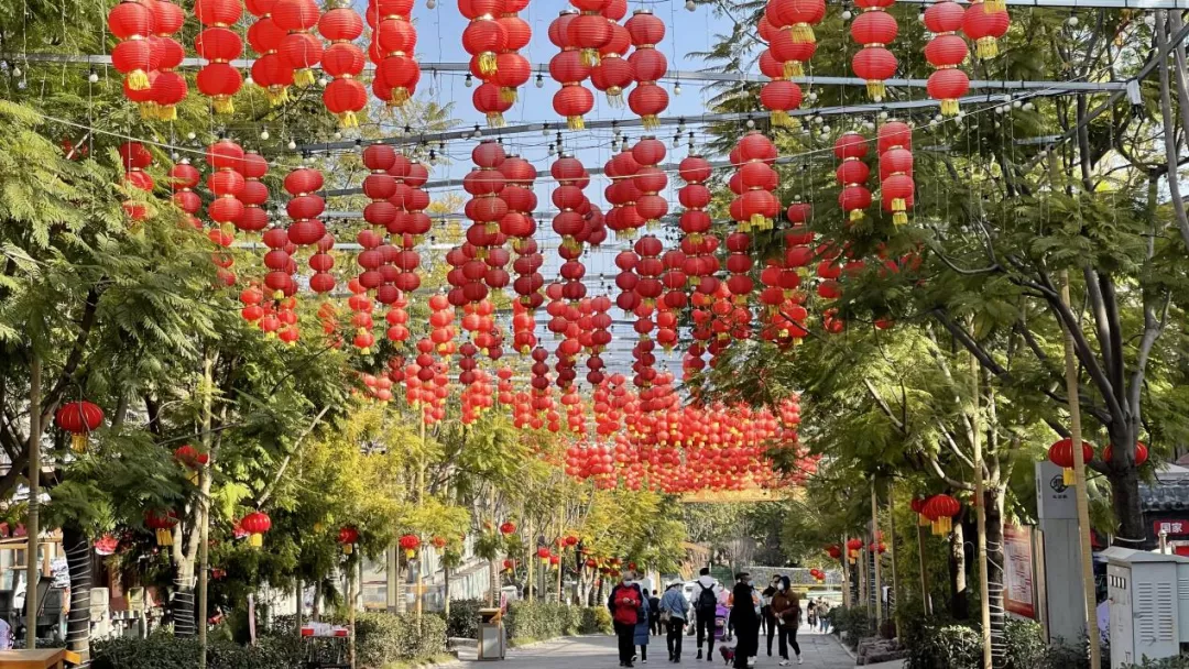 西昌市大石板鄉(xiāng)村振興項(xiàng)目再獲省級(jí)榮譽(yù)(圖8)