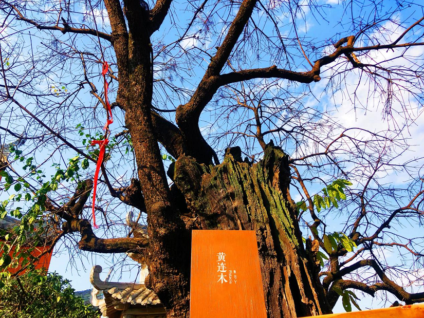 大石板古村:保護利用讓歷史文化“活”起來 ——全省城鄉(xiāng)建設(shè)歷史文化保護利用工作現(xiàn)場會在西昌大石板古村召開(圖3) 大石板古村:保護利用讓歷史文化“活”起來 ——全省城鄉(xiāng)建設(shè)歷史文化保護利用工作現(xiàn)場會在西昌大石板古村召開(圖3)