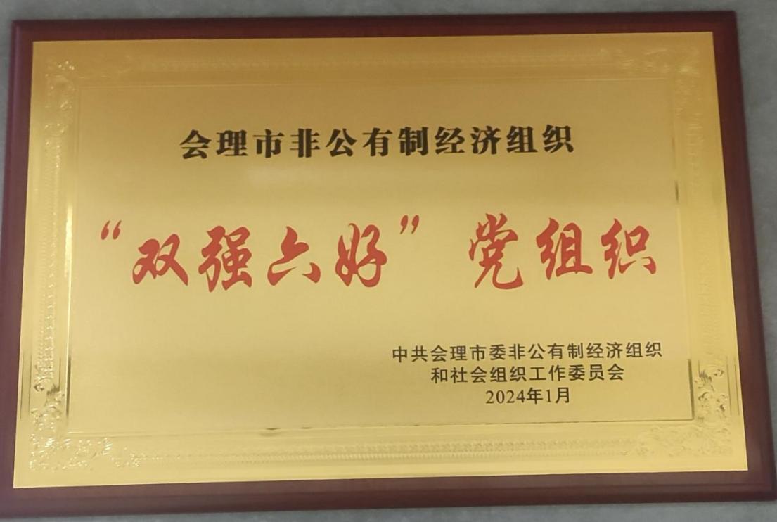喜訊！礦業(yè)總公司財通公司黨支部榮獲會理市“雙強六好”黨組織稱號