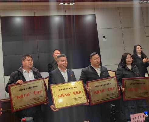 喜訊！礦業(yè)總公司財通公司黨支部榮獲會理市“雙強六好”黨組織稱號(圖2)