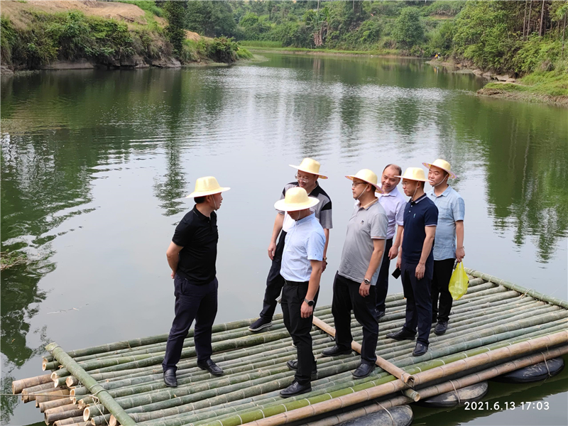 集團(tuán)公司王勁董事長視察穹窿植物園建設(shè)現(xiàn)場(圖2)